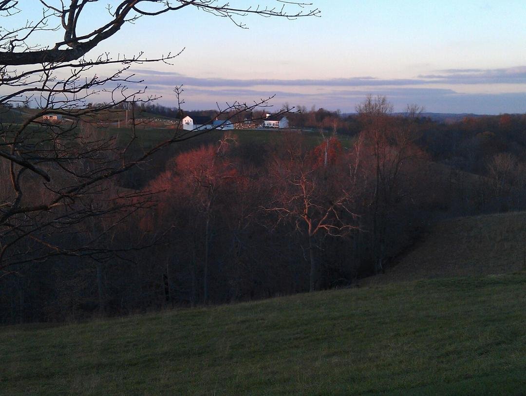 The farm.....I love it out here!! Run, Bambie, run!!!!!!