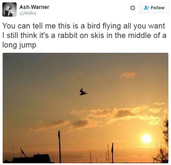 Steven Watson's album, Mobile uploads