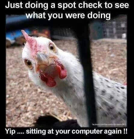 What are you doing up so late..