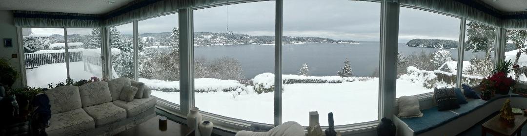 From the Living Room