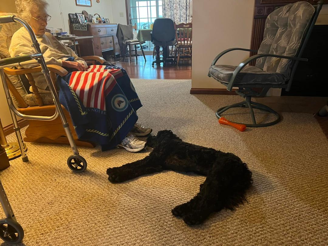LuLu watching over Grandma.
