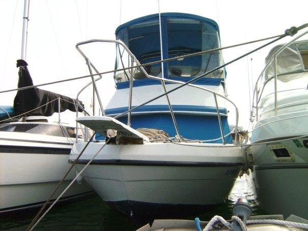 Front view of the Summer Bird.
