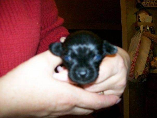 He is 3 weeks old