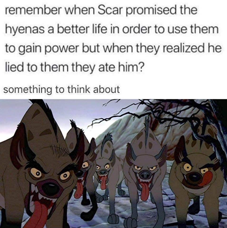 Just saying.