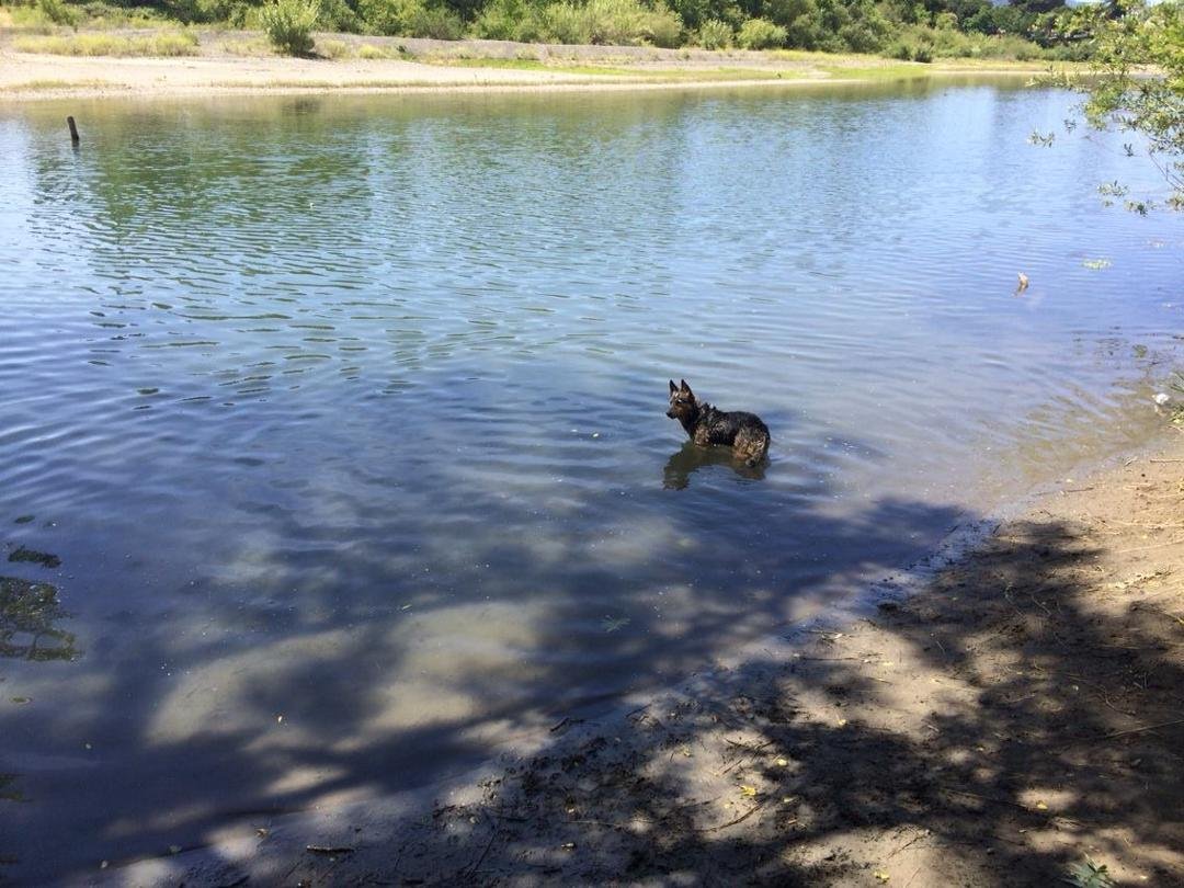 Jon Holmberg's album, iOS Photos