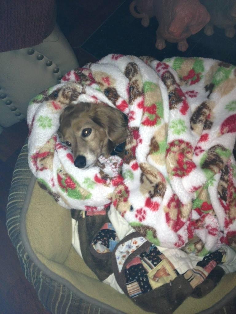 Rambeau's cold!