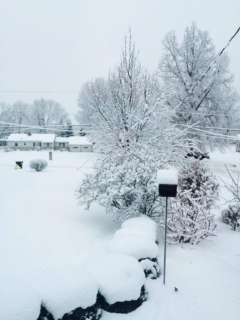Meanwhile, back in Ohio... Natalie Cull