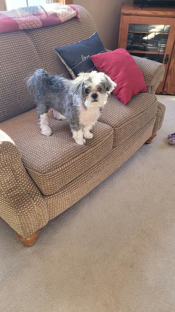 Have a great day for dogs Percy. !! You are the most!!