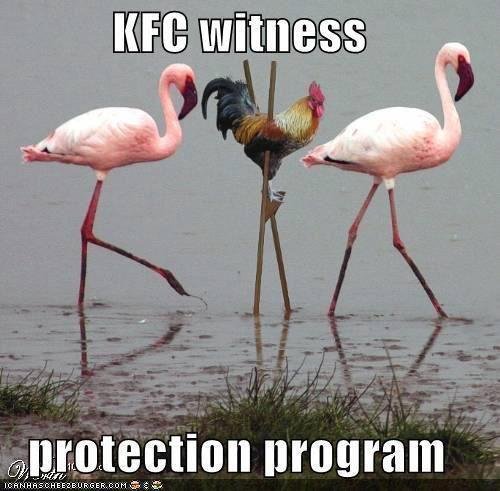 Sometimes we all need something to laugh about.