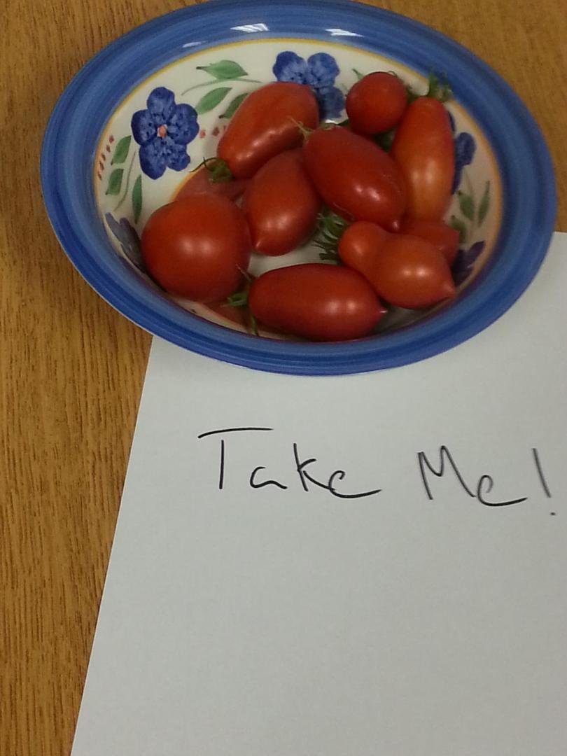 Will Wilding is pushing "Easy" Tomatos on his co-workers.