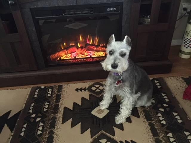 Lynda Cushman's album, Timeline Photos