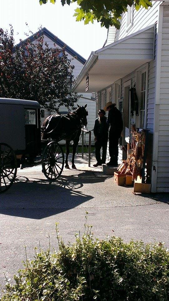 Beautiful day in the Amish Country!