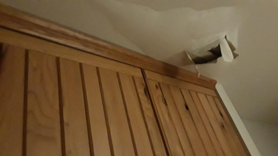 We came home from visiting a retirement facility and this is what we found.
