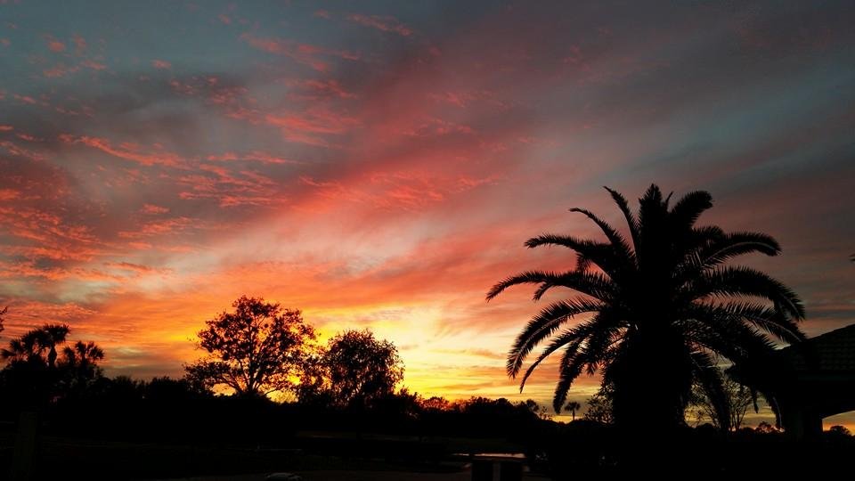 Adele Mariani's album, Mobile Uploads