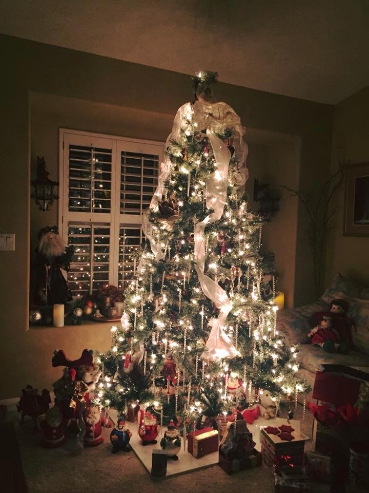 Have a joyful Christmas and New Year!!