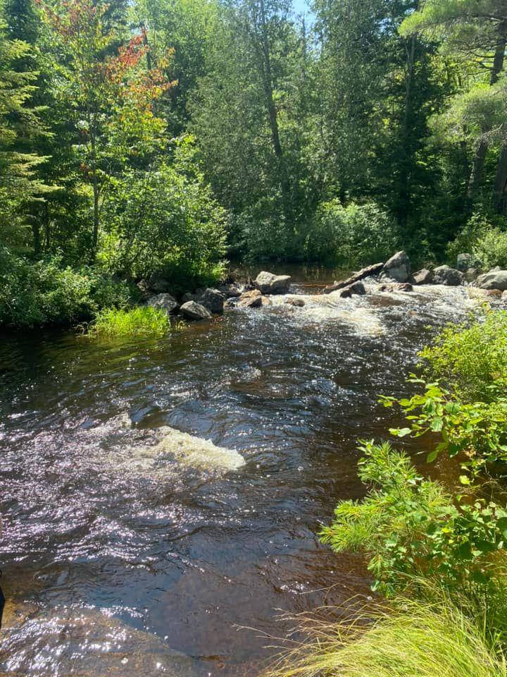 Camping trip John Dillon 2024