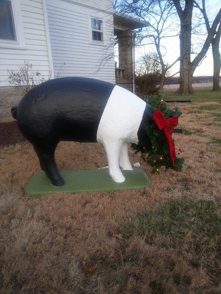 Fran Holder's album, Mobile Uploads