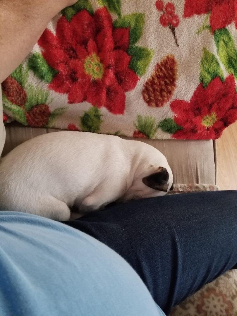 ROXY'S chill photo of the day