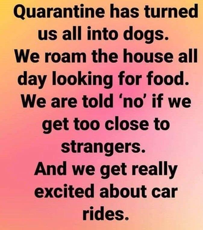 Sharon Class' album, Timeline Photos