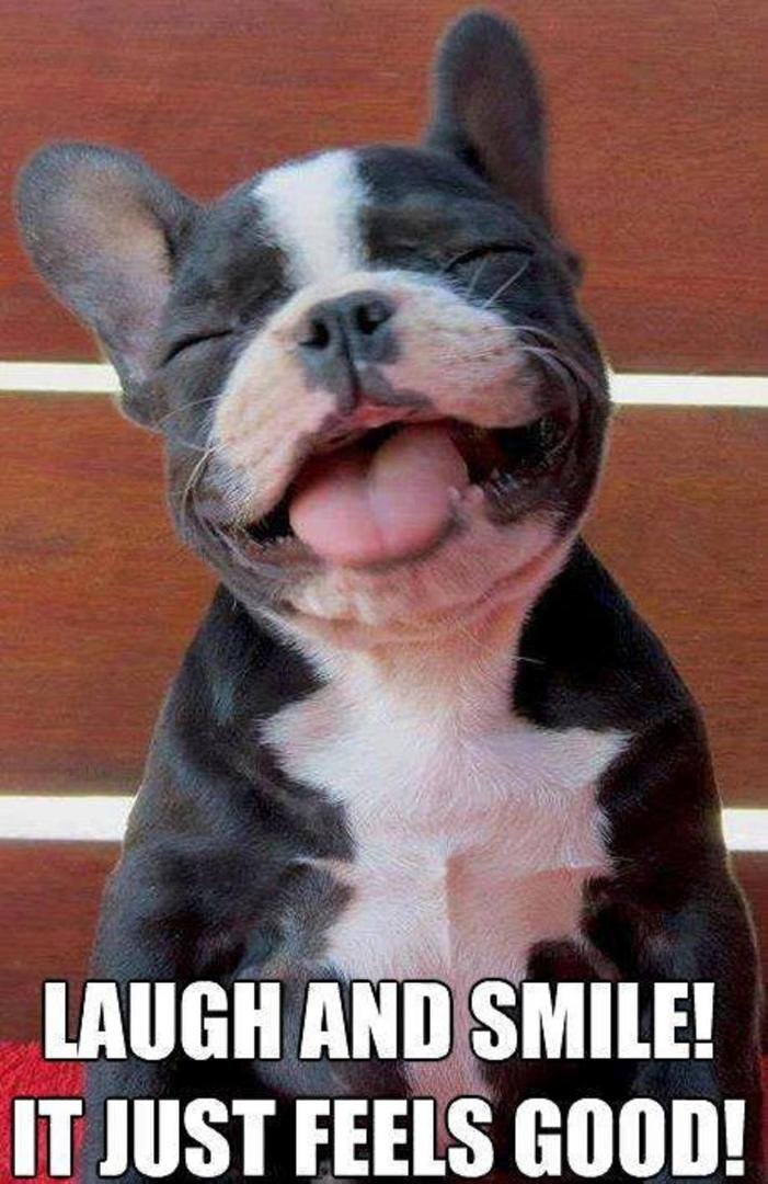Such a cherfull fellow