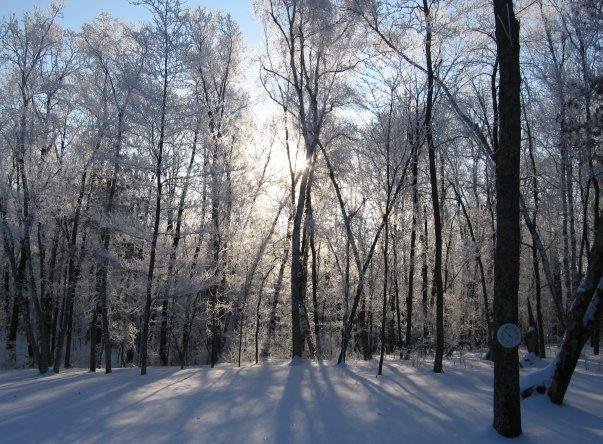 Mary Ratcliff's album, WINTER pics