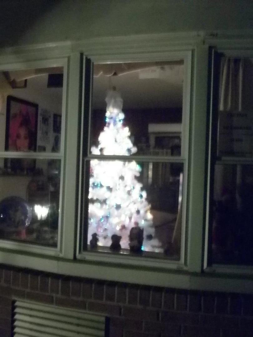 Helen Riddle's album, My & James Christmas tree and some things..2013
