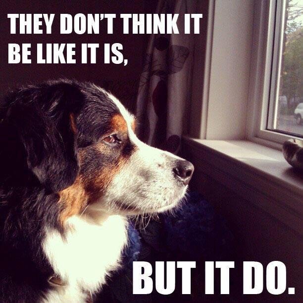 Steve Anderson's album, Timeline Photos