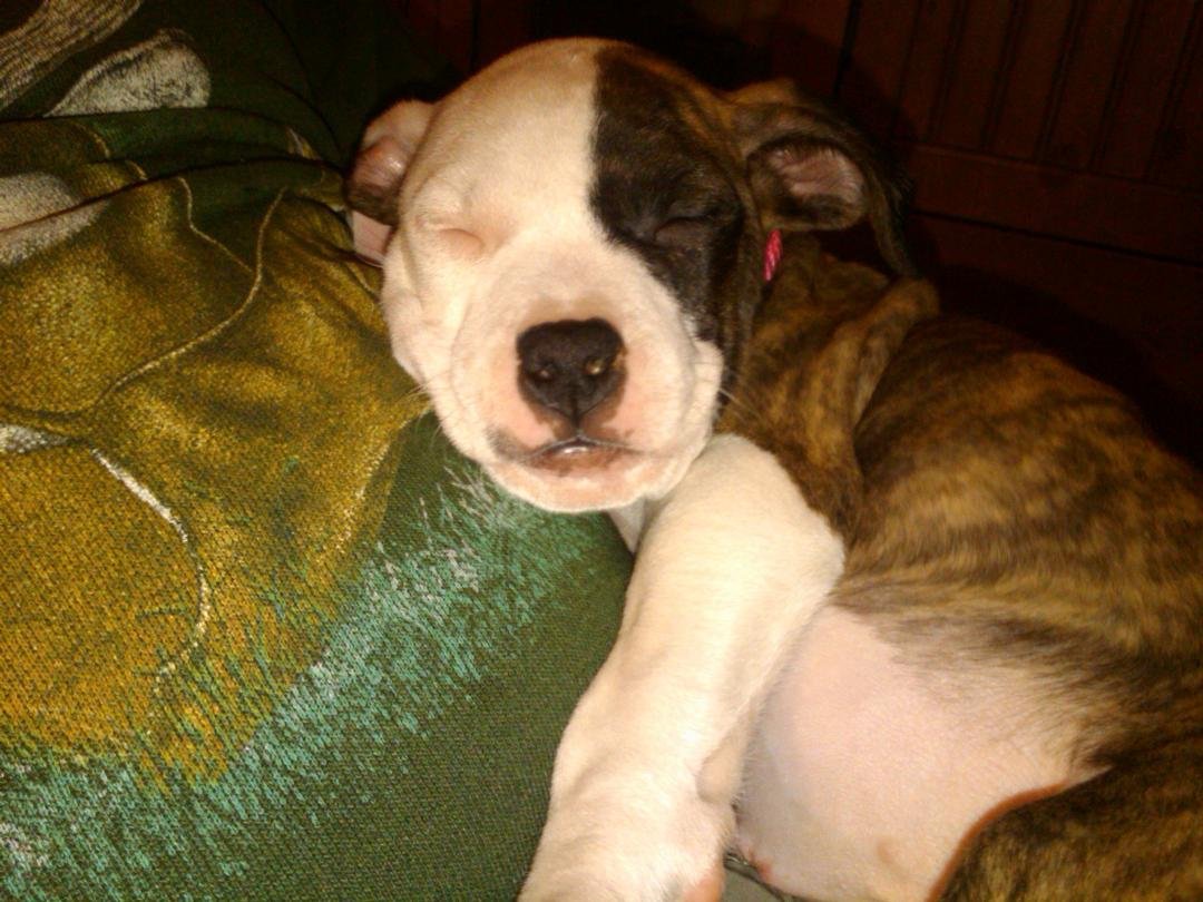 And this is Sasha