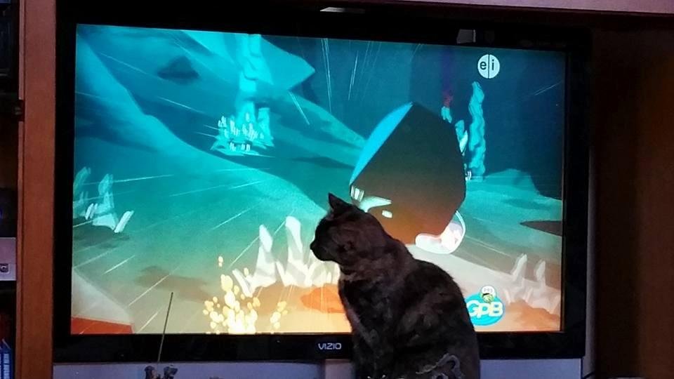 Chas loves wild kratts