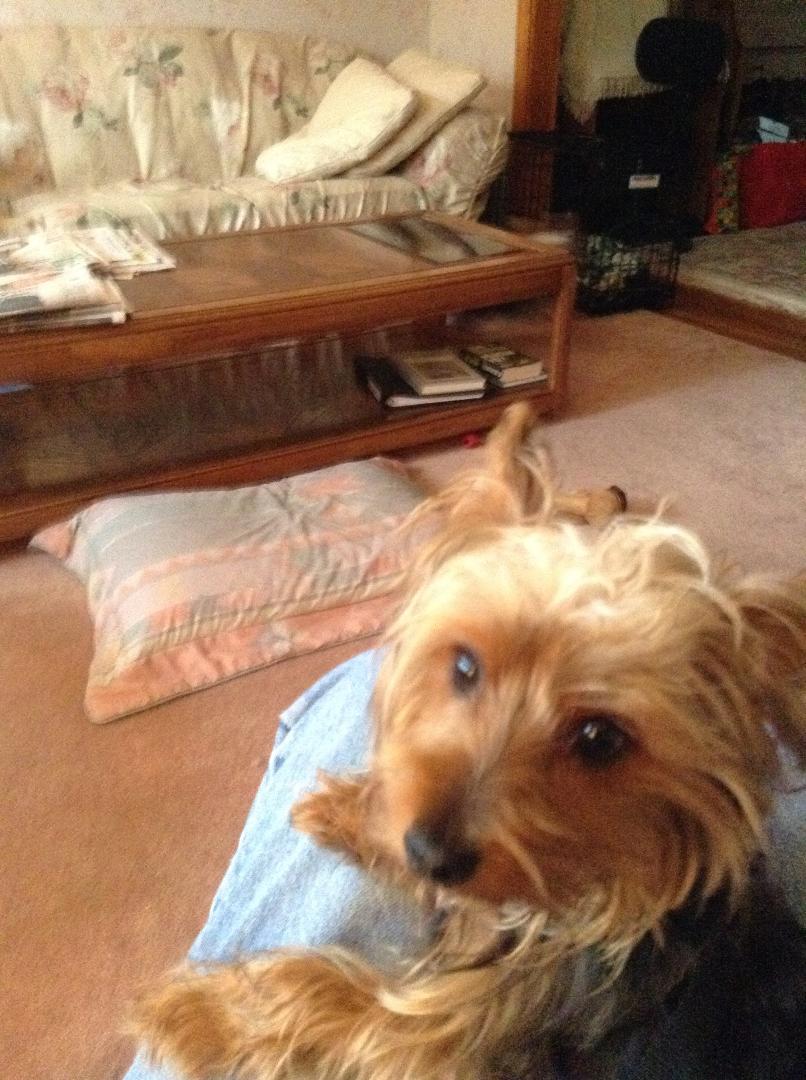 Ronald McCall's album, iOS Photos