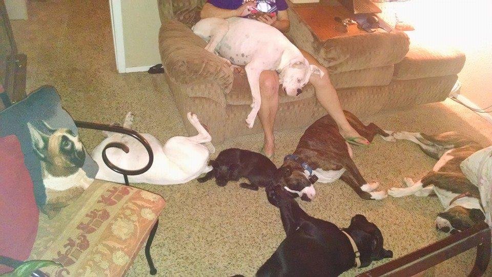 Yes they still love Patricia