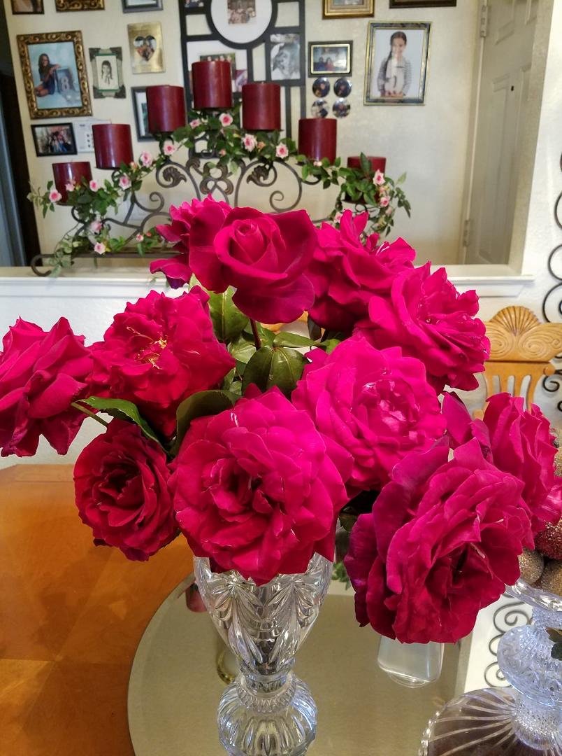 More beauty from my yard. The fragrance is amazing!! Wishing everyone love on this Beautiful Sunday. ♥