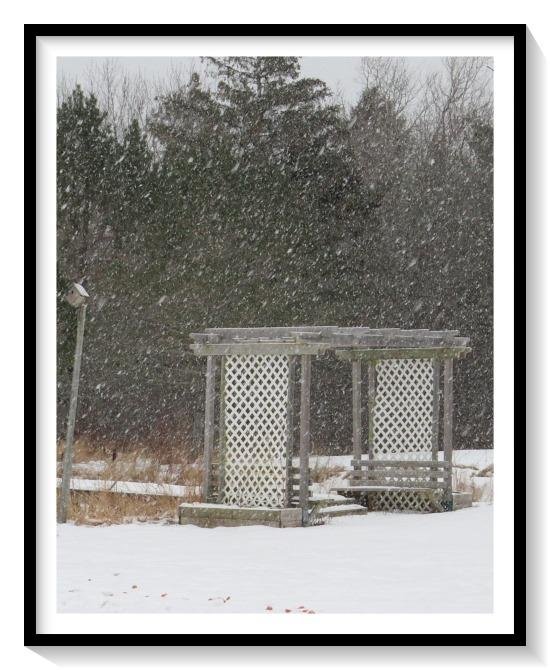 Bruce MOTT's album, Timeline Photos