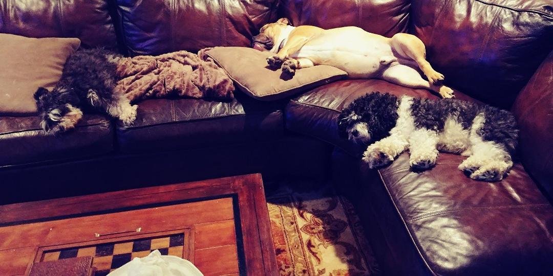 No room for me!