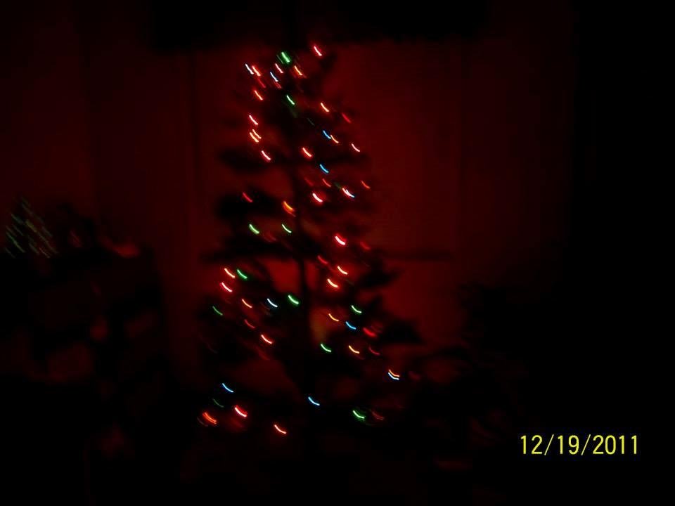 The Lone Christmas tree.