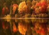 Fall