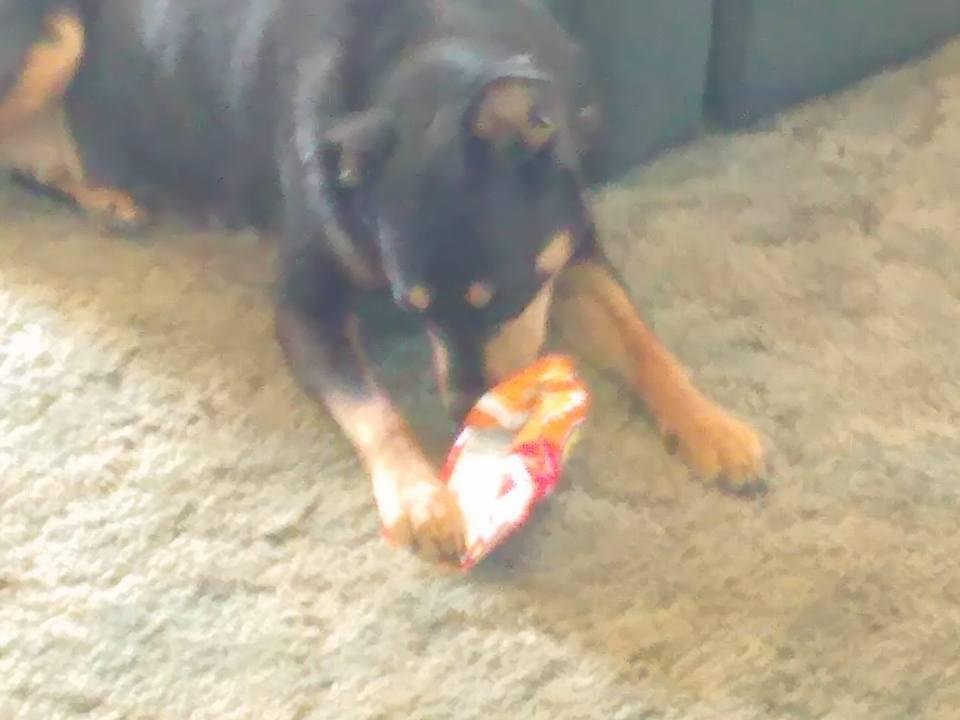 Someone else decided Cheetos might be a good thing.