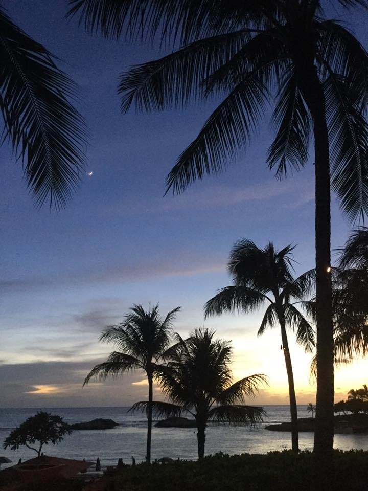 Cindy Chartier's album, Mobile Uploads