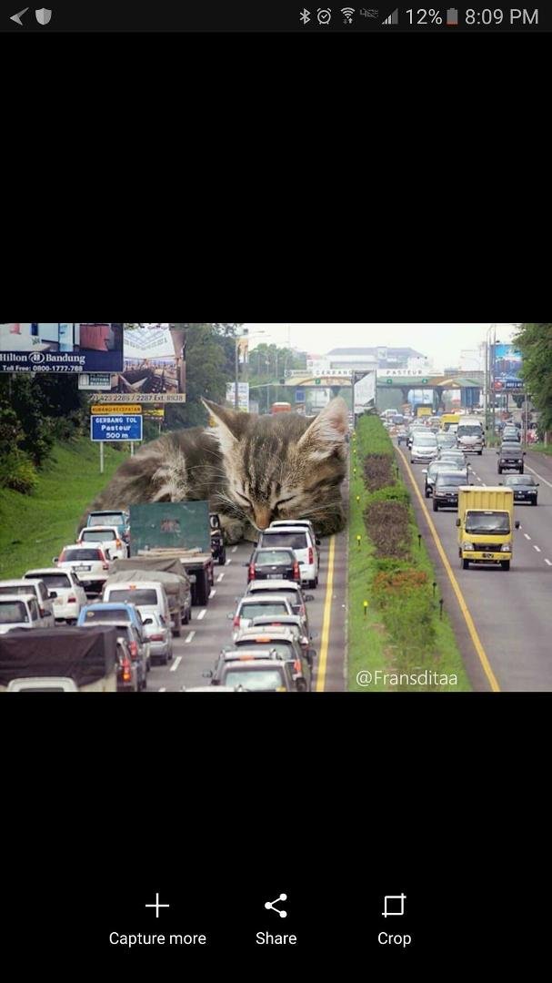 For those of you that get stuck in traffic and can't see what's going on...this is what happened...your welcome...