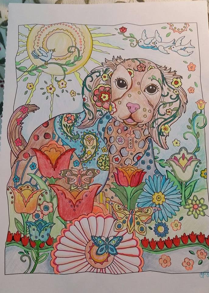 I love dogs :)