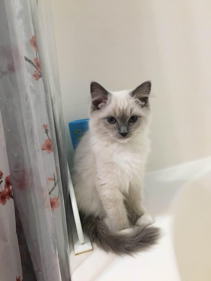 Standing guard in the bath. Keeping me safe. What a lovey!!!