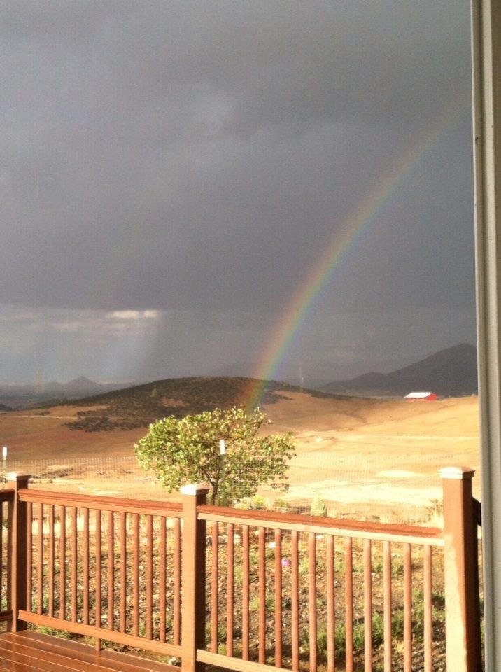 Right after the rain saw this rainbow out side our back door