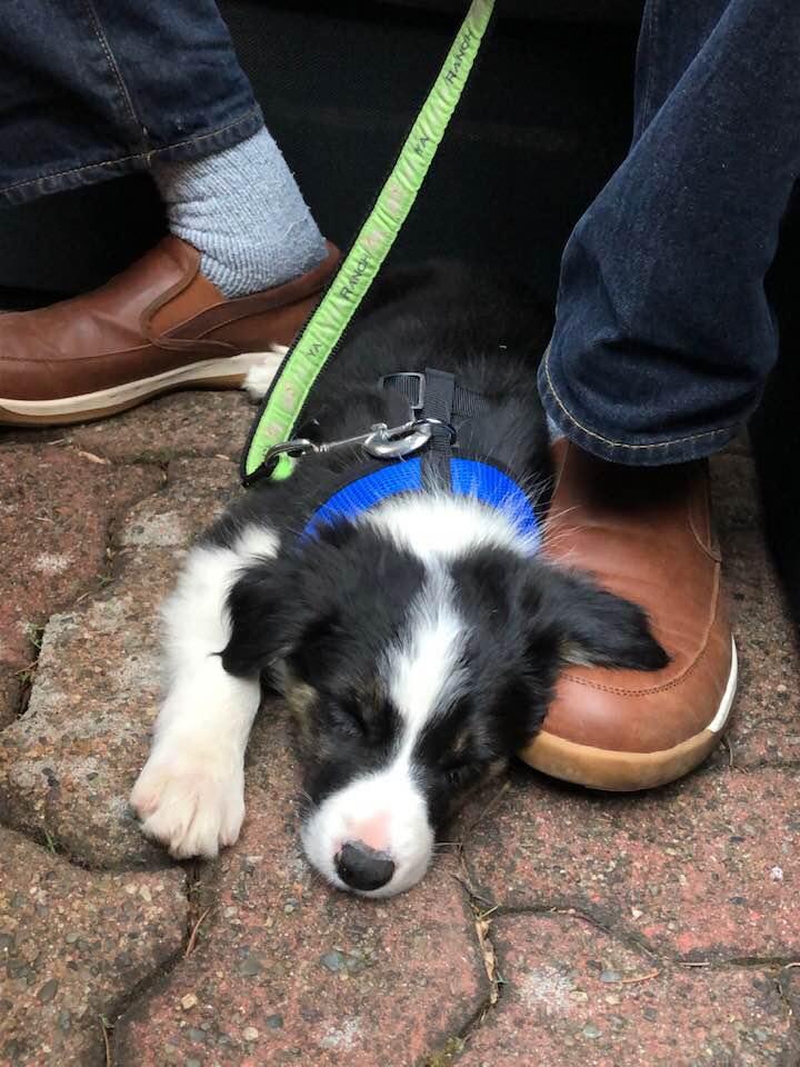 It has been a long day....