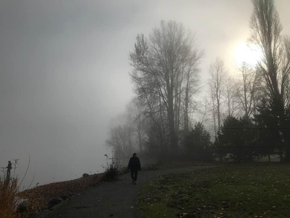 Fog today, Seattle.