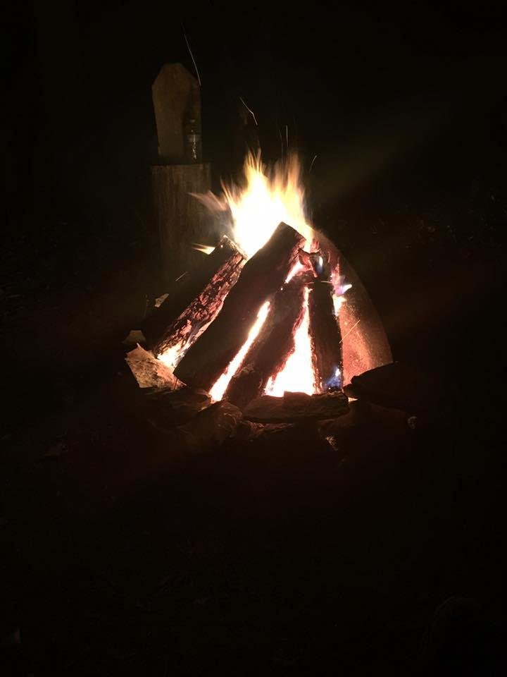 Last night in the deer woods.