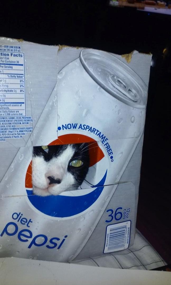 Well went Sam's the other day and bought 36 pack of diet Pepsi this what I found in the box