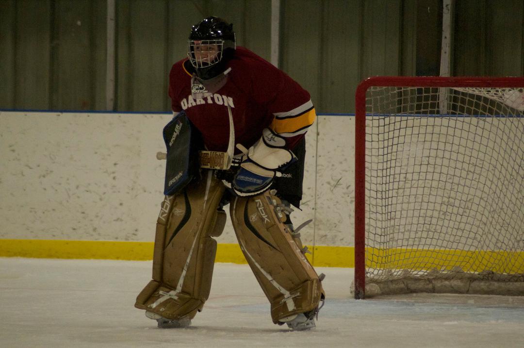 Beverly Riemann's album, HOCKEY GAME - OAKTON/GMHS GOLD