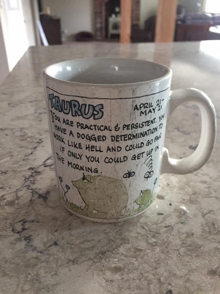 Over 20 years ago Phil Perry and Melinda gave this mug to John H Dungan for his 30th birthday. It has been known as the "froggy" cup. When the kids were little they thought it was fun that it had a swear word on it. I went