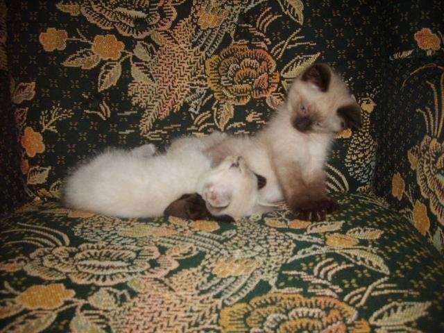 Tim Proctor's album, Timeline Photos