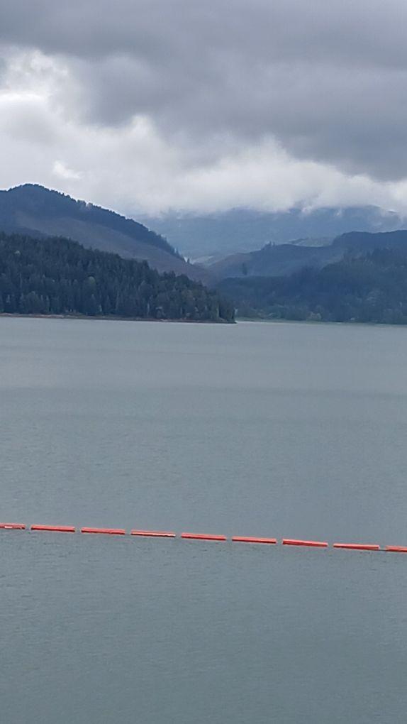 Dorena lake